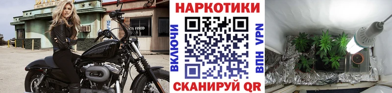 Купить закладку Канабис  Меф  A PVP  Гашиш  Cocaine  Щёкино