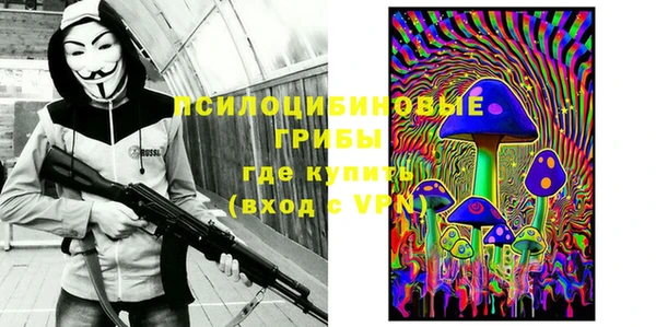 ALPHA-PVP Каменка