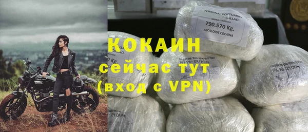 ALPHA-PVP Каменка