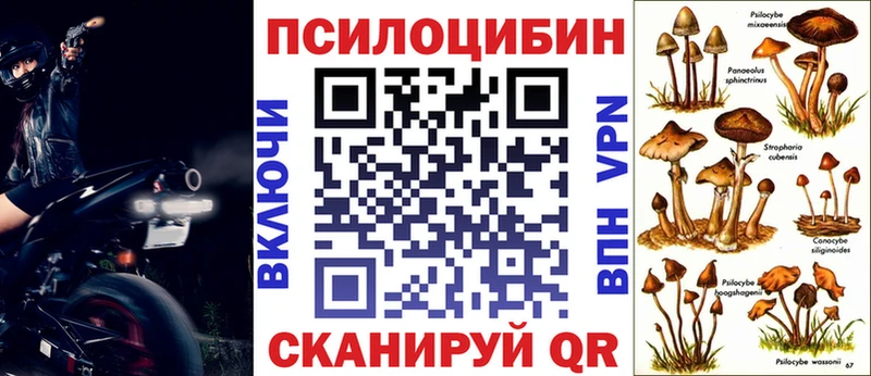 Псилоцибиновые грибы ЛСД Купить где Щёкино